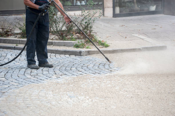 Best Sidewalk and Walkway Cleaning  in Great Neck, NY